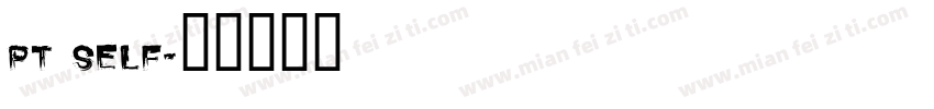 pt self字体转换
